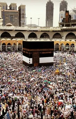 Şehit ve gazi yakınları hacca kurasız gidecek