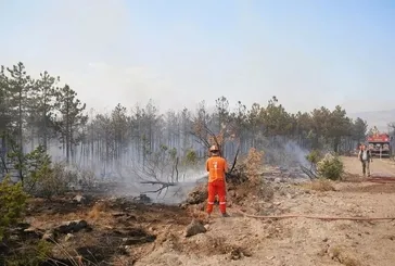 Eskişehir'de ormanlık alanda yangın çıktı