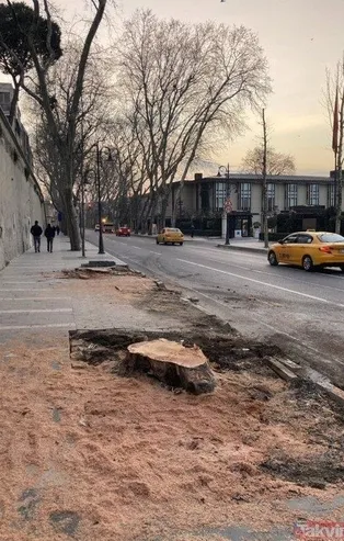 8 ağaç bahanesiyle çıkan Gezi olaylarına destek veren İmamoğlu, İBB'nin katlettiği 112 çınarla ilgili tek kelime söyleyemedi