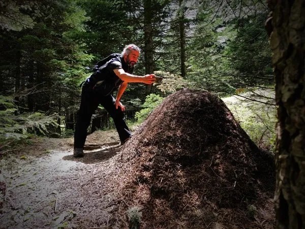 ormanlarin-kene-savascisi-kirmizi-orman-karincalarinin-dev-yuvalari-1622879532263.jpg Ormanların kene savaşçısı! Kırmızı orman karıncalarının dev yuvaları-2