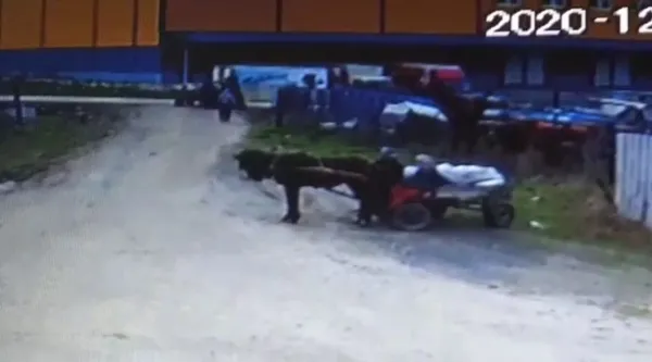 at-arabasiyla-4-ton-demir-caldilar-1609480352827.jpg At arabasıyla 4 ton demir çaldılar-4
