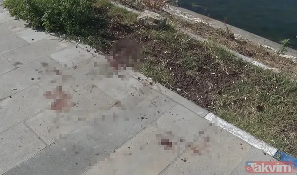 Avcılar'da kan donduran cinayet! Önce bıçakladılar sonra denize attılar | Sicilleri kabarık çıktı: 2 gün önce cezaevinden... - 10