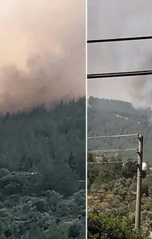 Muğla Milas ve Kütahya Çavdarhisar'da ormanlık alanda yangın!