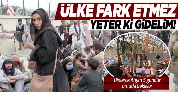 Kabil'de binlerce Afgan "umut yolculuğuna" çıkmayı bekliyor