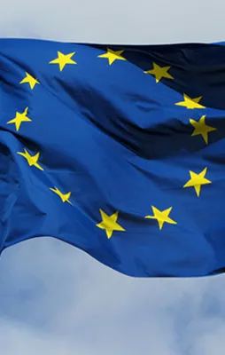 "AB sürekli terörü savunuyor"