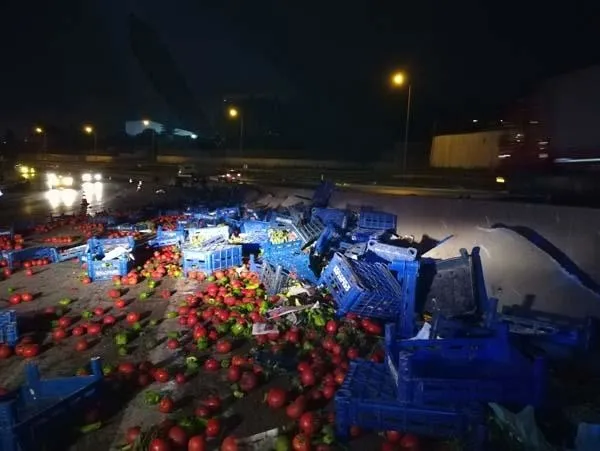 D-100’de tır devrildi sebzeler yola saçıldı-1