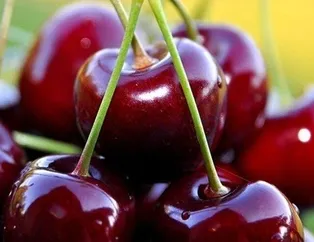 Bağırsak dostu kiraz