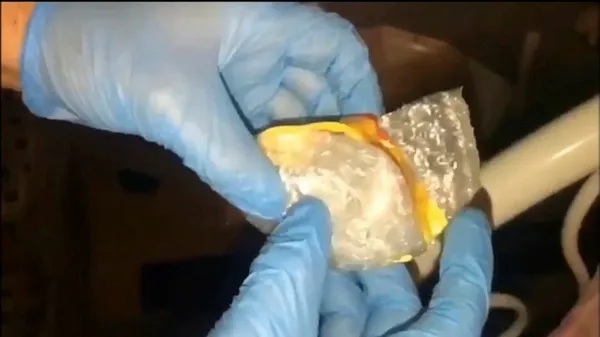 edirnede-uyusturucu-baskini-skunk-metamfetamin-1648187245933.jpg Edirne’de uyuşturucu baskını! Skunk, metamfetamin...-3