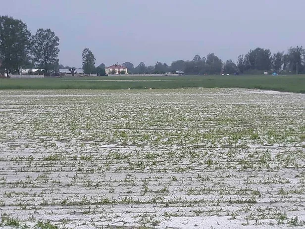 son-dakika-dolu-kabusu-yasandi-20den-fazla-tarim-arazisi-zarar-gordu-1591964701777.jpg Son dakika: Dolu kabusu geliyor! Uyarı üstüne uyarı yapıldı-3