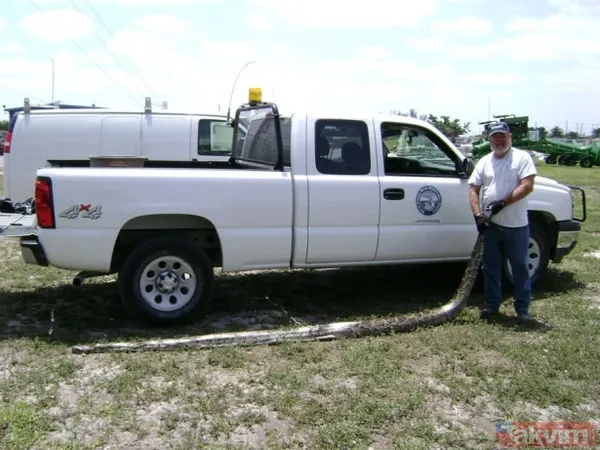 Duvarın içinden gelen seslerden ilallah etti sonunda paramparça etti! Gördükleri karşısında kalbi yerinden çıkacaktı - 28