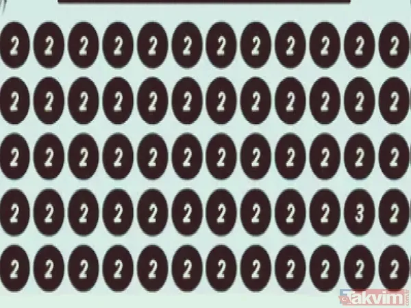 İlk Bakışta Resim, Düzenli Bir "2" Kalabalığı Gibi Görünüyor. Ancak Bu Rakamlar Arasında Ustalıkla Gizlenmiş Bir "3" Bulunuyor. Onu Fark Edebilmek İçin Sadece...