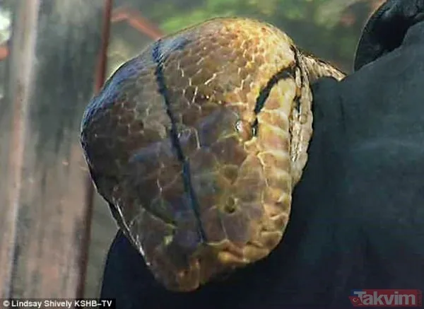 Duvarın içinden gelen seslerden ilallah etti sonunda paramparça etti! Gördükleri karşısında kalbi yerinden çıkacaktı - 27