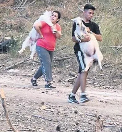 sicak-hava-fena-kavuruyor-dereceler-52yi-asti-1689715355517.jpeg Dünya yanıyor! Dereceler 52’yi aştı...-2