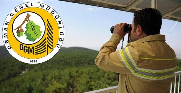 tarim-ve-orman-bakanligi-personel-alimi-2022-basladi-mi-ne-zaman-ogm-dsi-5-bin-64-isci-alimi-sonuclari-aciklan-1648989434337.jpg OGM - DSİ 5 bin 64 işçi alımı sonuçları açıklandı mı? Tarım ve Orman Bakanlığı personel alımı 2022 başladı mı, ne zaman?-4