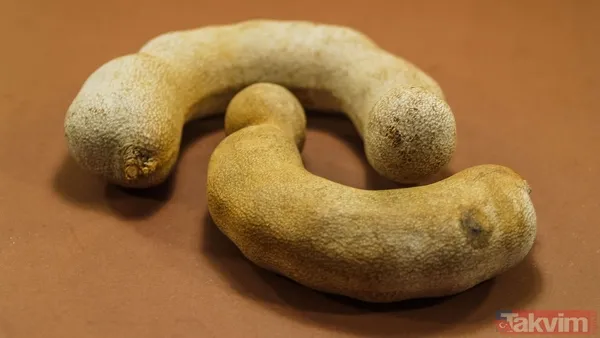 Osmanlı’nın gizli şifası: İnsülin direncini yok ediyor bağırsakları harekete geçiriyor - 8