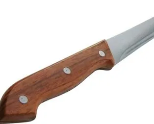 Kardeşini bıçakladı