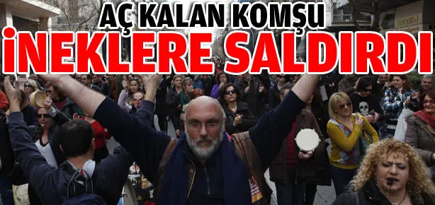 Aç kalan komşu ineklere saldırdı