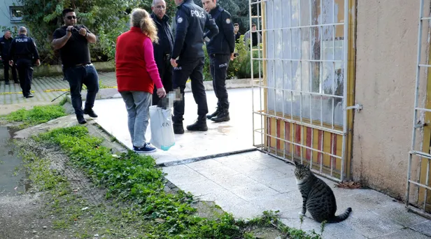 Antalya'da yürek sızlatan görüntü! Kedi boynundan asılmış olarak bulundu-1