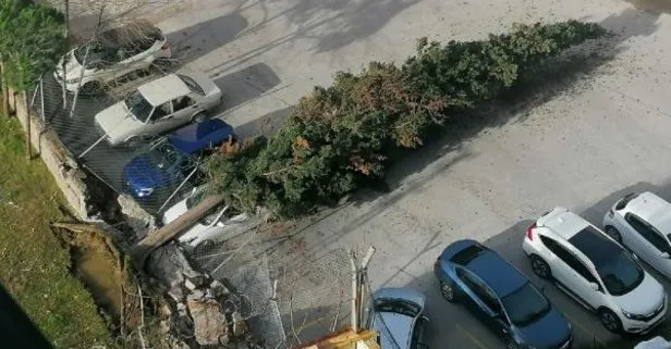 Son dakika: Çanakkale’de şiddetli lodos fırtınası! Ağaçlar devrildi elektrik telleri koptu