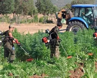 27 milyon TL’lik esrar