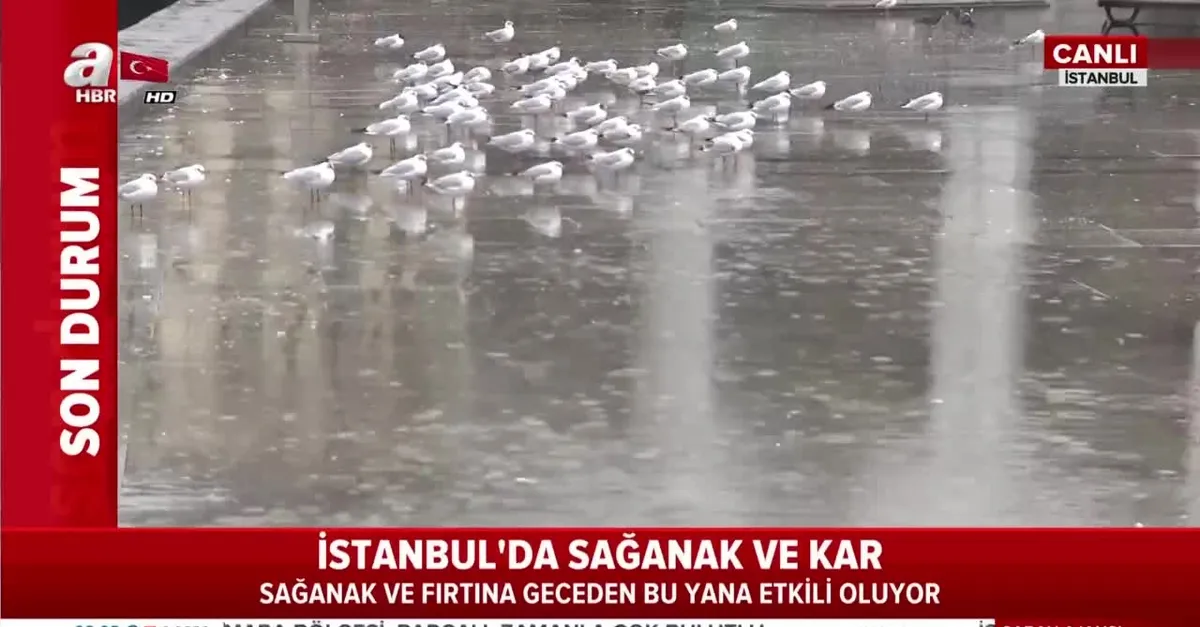Son dakika: BUDO ve İDO'da sefer iptalleri