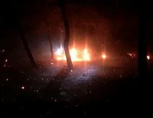 Çanakkale’de orman yangını! Sabotaj iddiası...