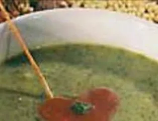 Isırgan Otunun Faydaları