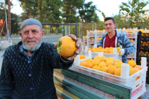 yeni-sari-altin-cennet-hurmasi-dalinda-kilosu-3-lira-kurutup-40-liradan-satiyorlar-1635764063198.jpg Yeni sarı altın: Cennet hurması! Dalında kilosu 3 lira kurutup 40 liradan satıyorlar-5