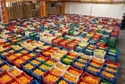 Tarlada 4 lira, markette 100 lira! Çiftçinin anlattığı fiyat zinciri pes dedirtti