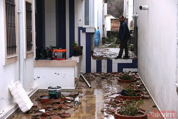 Muğla Bodrum'da hep aynı manzara! Evleri su bastı, sokak hayvanları boğuldu - 15