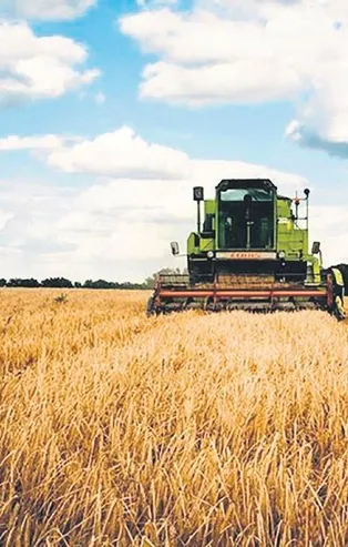 Sebze meyvede fiyat oyunu deşifre oldu! Üreten çiftçi kazanan aracı