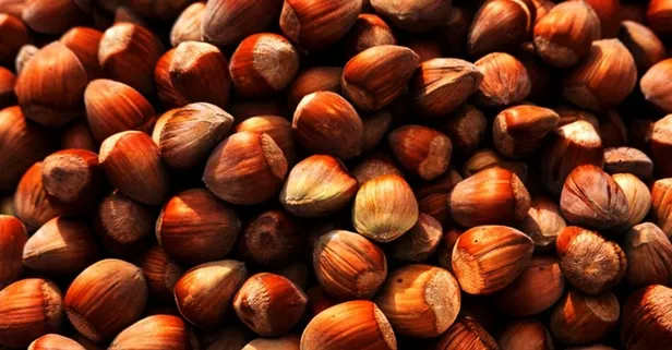 50 randıman Samsun, Giresun, Trabzon,Sakarya fındık fiyatları! Serbest piyasa fındık fiyatları açıklandı-4