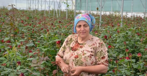 İthalatın önüne geçmek için 240 metrekare alanda Rodos gülü yetiştirmeye başladı şimdilerde yılda 2 milyon adet gül üretiyor