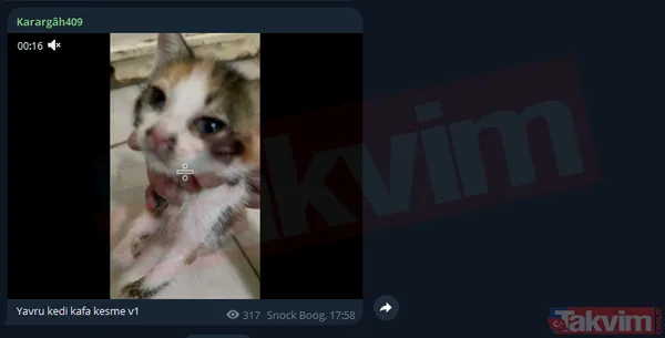 Kedi kesildi... Kur'an-ı Kerim'e hakaret edildi! Alçak paylaşımları yapan "Karargah409" hakkında soruşturma başlatıldı - 15