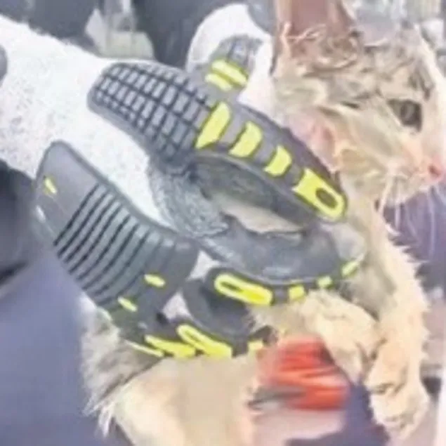 Yaramazları itfaiye kurtardı