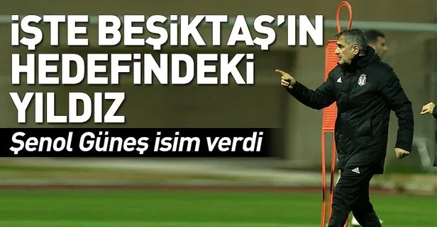 Beşiktaş Teknik Direktörü Şenol Güneş’ten önemli açıklamalar
