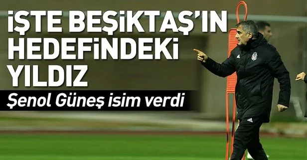 Beşiktaş teknik direktörü Şenol Güneş'ten önemli açıklamalar