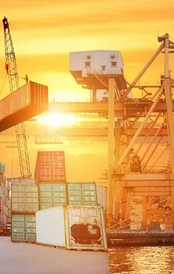 Mayıs ayının ihracat rakamları açıklandı