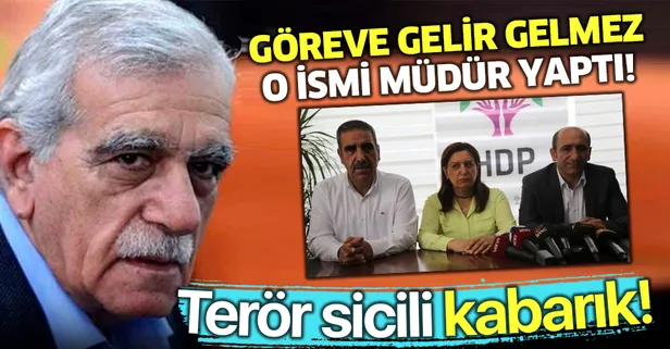 Terör sicili kabarık Cebbar Leygara, belediye şirketine müdür oldu