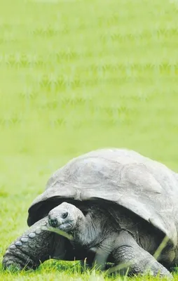 'Gay'ri meşru aşk!