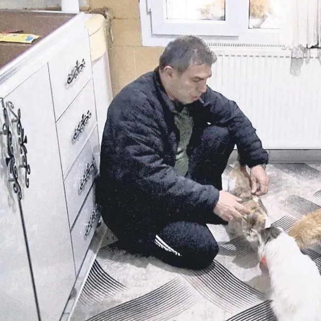 Boş olan dairesini barınağa dönüştürdü! 17 kediye bakıyor