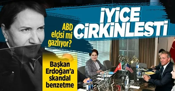 Meral Akşener’den Başkan Erdoğan’a çirkin benzetme! Tazmanya canavarı edasıyla...