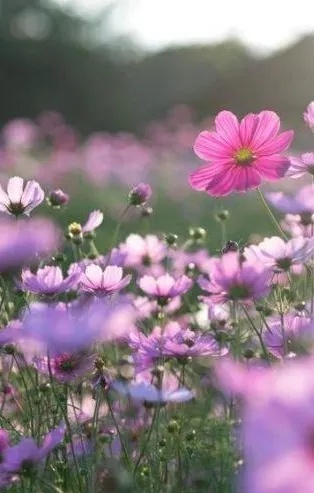 Havaya, suya, toprağa cemre hangi tarihlerde düşecek? İlk cemre ne zaman düşecek 2022? Havalar ne zaman ısınacak?