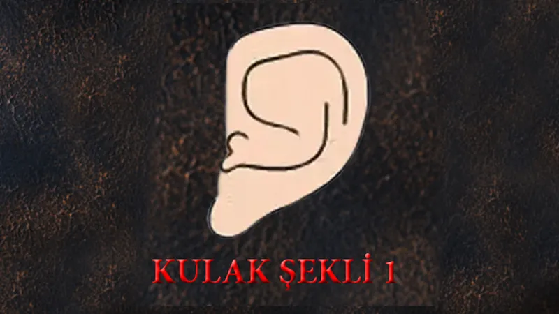 kulak-sekliniz-buysa-en-guclu-sezgileri-olan-kisileri-sak-diye-ortaya-cikiyor-1711887509528.jpg Kulak şekliniz buysa en güçlü sezgileri olan kişileri şak diye ortaya çıkıyor-2