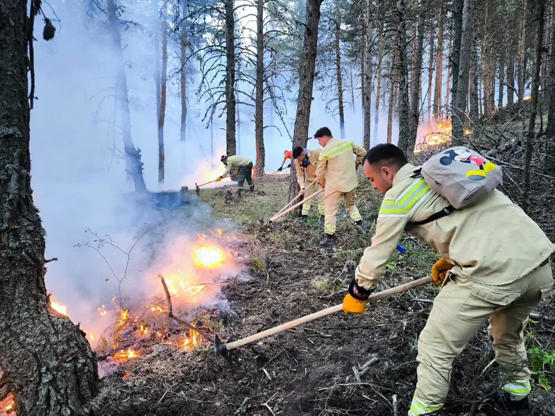 Ankara'da başladı Bolu'ya sıçradı! Gerede'deki orman yangını kontrol altına alındı-12