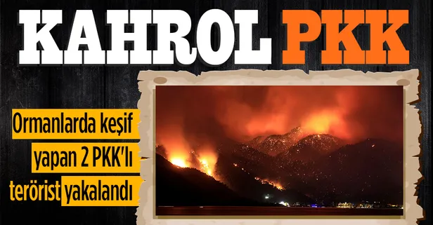 Ormanlarda keşif yapan 2 PKK'lı terörist yakalandı