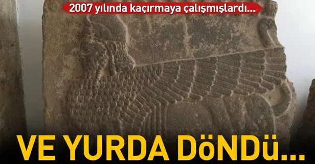 2007 yılında kaçırılmaya çalışılan Sfenskli ortostat evine döndü