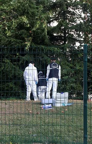 Son dakika: İstanbul'da korkunç olay! Kağıthane D-100 kenarında ağaca asılı erkek cesedi bulundu