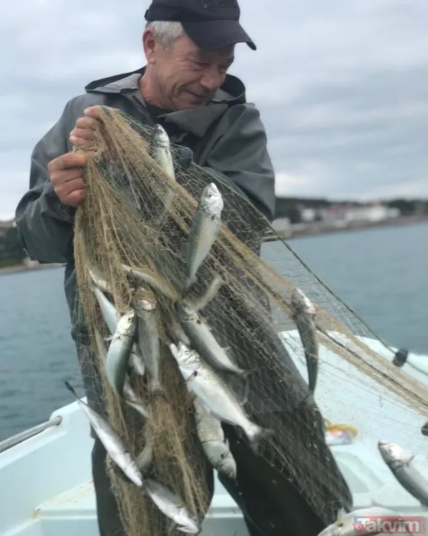 Yeşilçam’ın yakışıklı prensi bakın şimdi ne halde! Yılların acıması yok! İşte Sertan Acar’ın son hali - 21