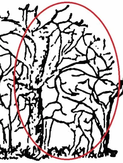 puzzledaki-zurafayi-sadece-yuksek-iqsu-olanlar-6-saniyede-buluyor-1697527748139.jpg Ağaç dallarıyla gizlenmiş zürafayı 6 saniye içinde bulabilecek misiniz?-5